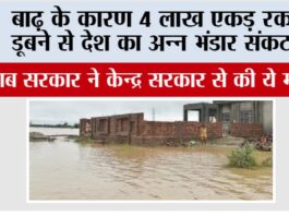 Punjab Floods