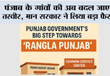 Punjab News