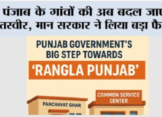 Punjab News