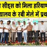 Sirsa News