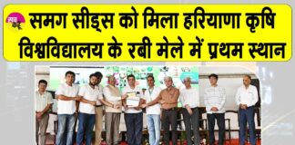 Sirsa News