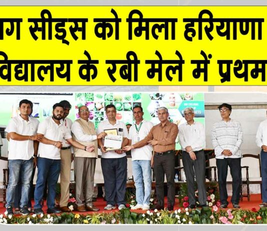 Rabi Mela 2025: समग सीड्स ने हरियाणा कृषि विश्वविद्यालय के रबी मेले में हासिल किया प्रथम स्थान Sirsa News
