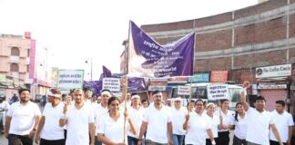 Ayurveda Day 2025