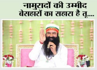 Saint Dr MSG Insan