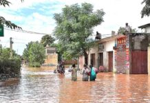 Sangrur News
