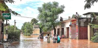 Sangrur News
