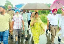 Sangrur News