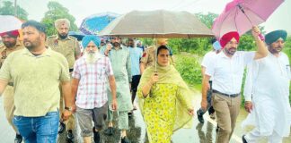 Sangrur News