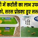 Saras Ghee Price