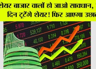 Share Market