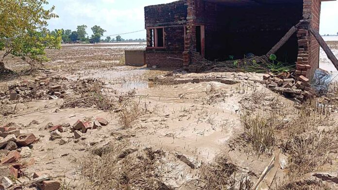 Chandigarh News Chandigarh News