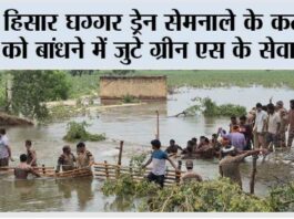 Sirsa