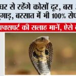 Snake News
