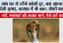 Snake News