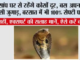 Snake News