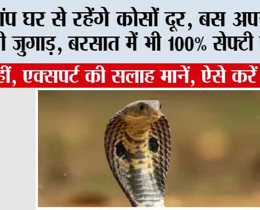Snake News