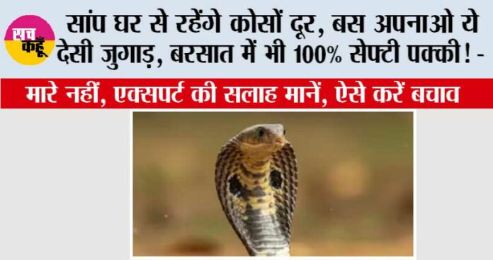Snake News