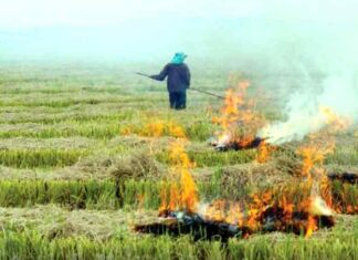 डीसी ने किया पराली के उचित निपटान का आह्वान Kapurthala News