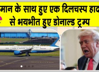 Trump Plane News