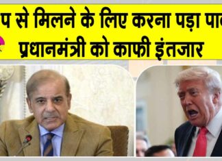 Trump Shehbaz Sharif meeting: व्हाइट हाउस में पाकिस्तान की ‘बेइज्जती’, मुलाकात के लिए पीएम व सेना प्रमुख को करना पड़ा इंतजार Trump Shehbaz Sharif meeting