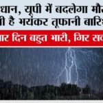 UP Heavy Rain Alert