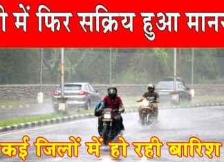 UP Weather News: यूपी में फिर सक्रिय हुआ मानसून, कई जिलों में हो रही बारिश UP Weather News
