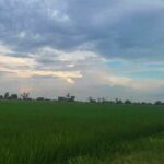 Rajasthan Weather News