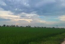 Rajasthan Weather News