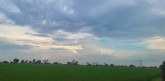 Rajasthan Weather News