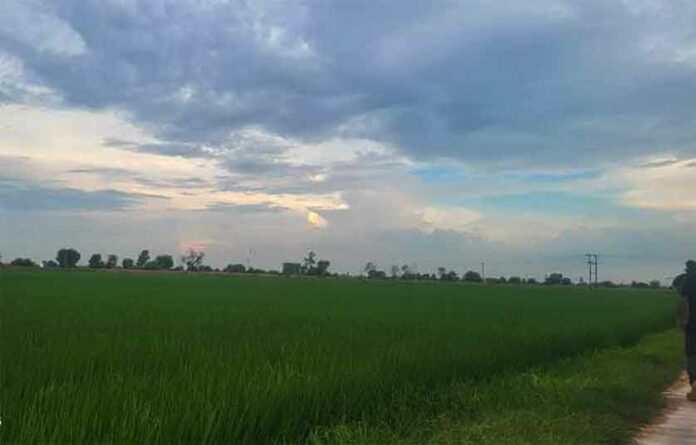 Rajasthan Weather News