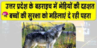 Bahraich Wolves News