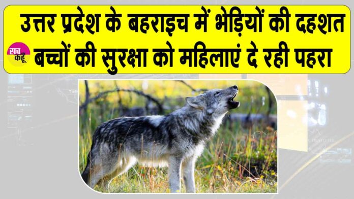 Bahraich Wolves News