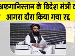 Amir Khan Muttaqi News