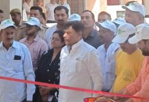 Baraut News