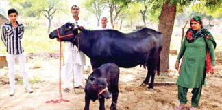 Bhiwani News