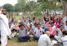 भिवानी व दादरी जिलों के पैक्स कर्मचारियों ने काम किया बंद, धरने पर बैठे Bhiwani News