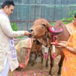 Gopashtami News