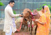 Gopashtami News