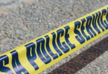 South Africa News