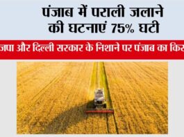 पंजाब में पराली जलाने की घटनाएं 75% घटी, फिर भी भाजपा और दिल्ली सरकार के निशाने पर पंजाब का किसान क्यों? Chandigarh News
