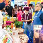 Chandigarh News