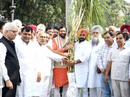  Chandigarh News