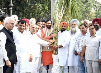 Sugarcane: गन्ना का एमएसपी बढ़ाने पर किसानों ने मुख्यमंत्री का जताया आभार Chandigarh News