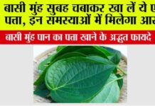 Chewing Betel Leaves