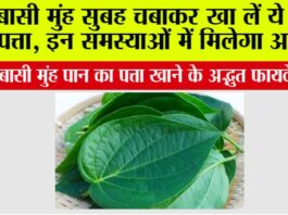 Chewing Betel Leaves