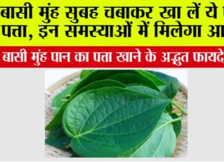 Chewing Betel Leaves
