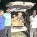 Chhachhrauli News