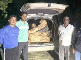 Chhachhrauli News