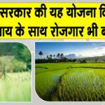 Cold Chain Yojana: कोल्ड चेन योजना, जो बढ़ा रही किसानों की आय व रोजगार Cold Chain Yojana