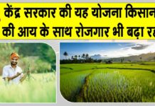 Cold Chain Yojana: कोल्ड चेन योजना, जो बढ़ा रही किसानों की आय व रोजगार Cold Chain Yojana